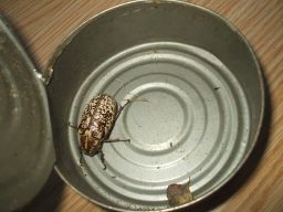 exp-zr-2009 479